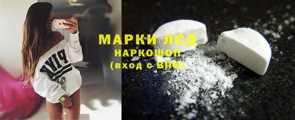 индика Елабуга