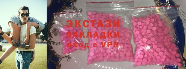индика Елабуга