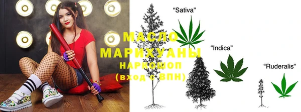 индика Елабуга
