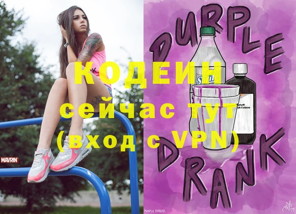 индика Елабуга