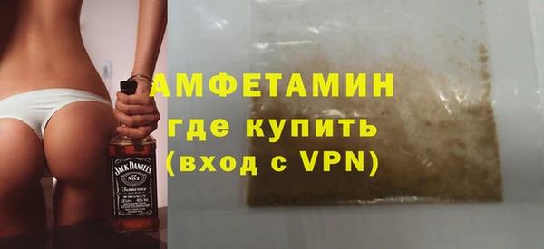 индика Елабуга