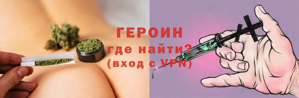 индика Елабуга