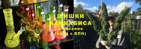 индика Елабуга