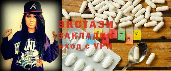 индика Елабуга
