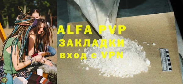 индика Елабуга