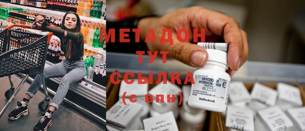 индика Елабуга