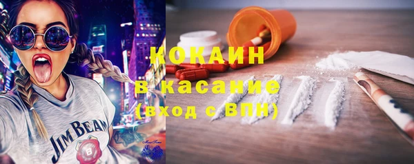 индика Елабуга