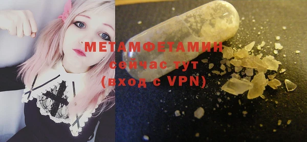 индика Елабуга