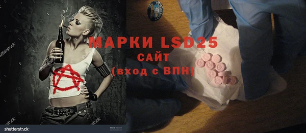 индика Елабуга