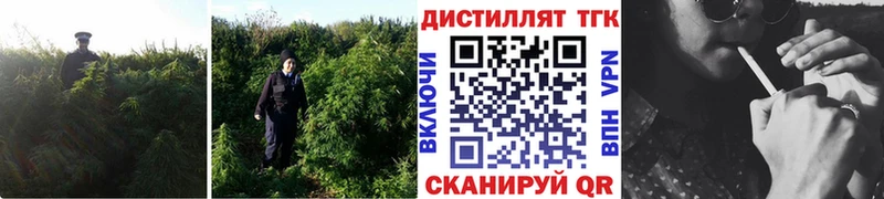 Купить закладки Красновишерск Дистиллят ТГК вейп с тгк